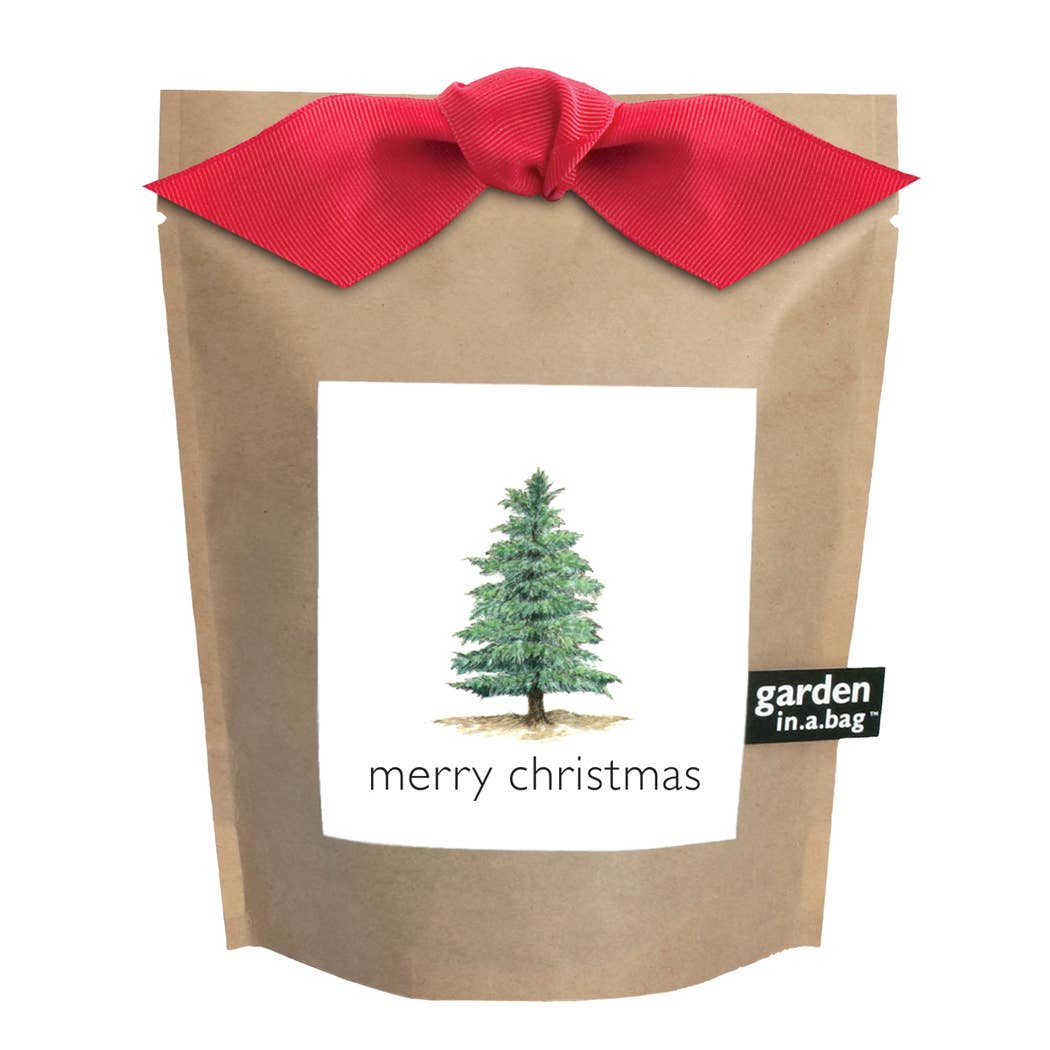 Garden in a Bag | Grow a Christmas Tree