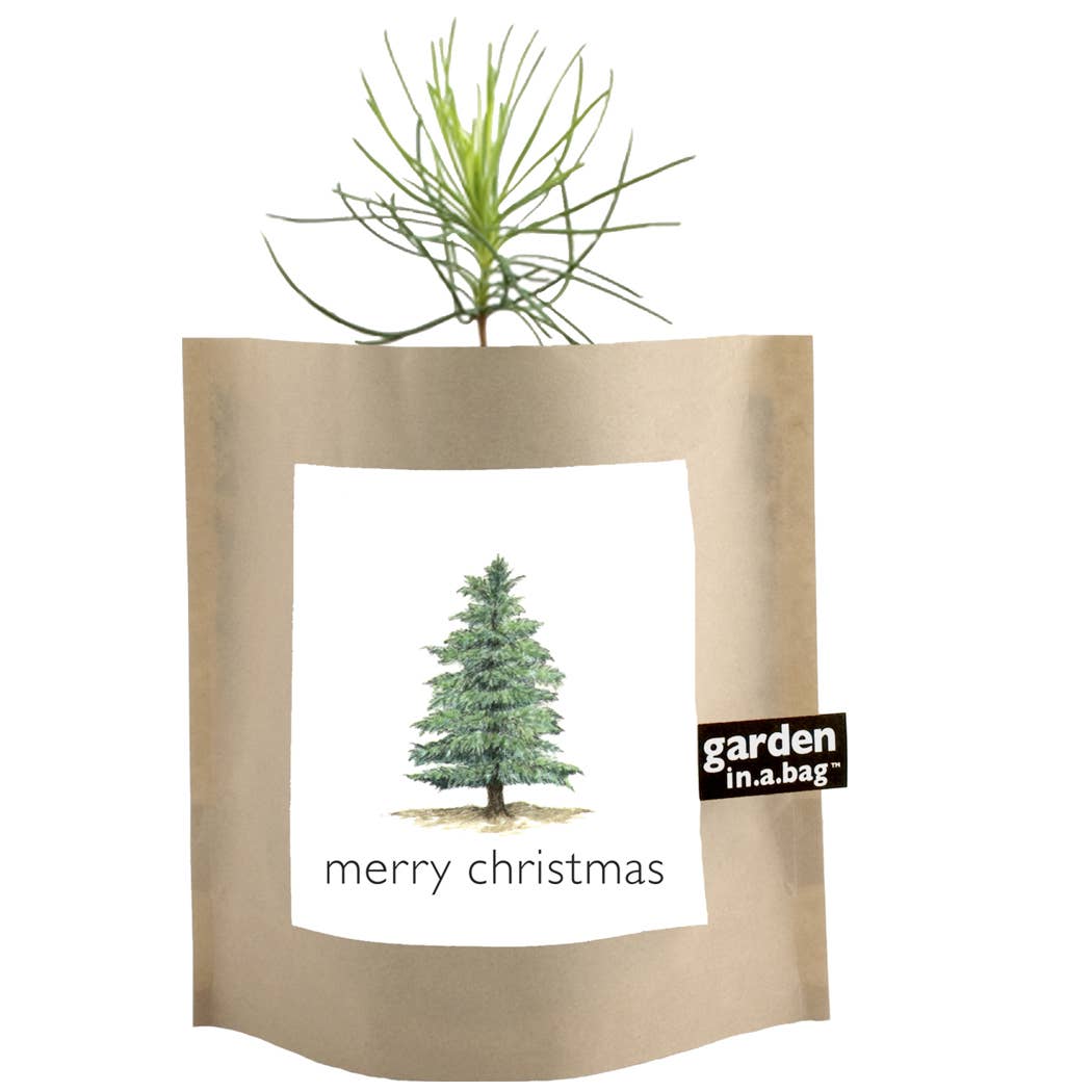 Garden in a Bag | Grow a Christmas Tree