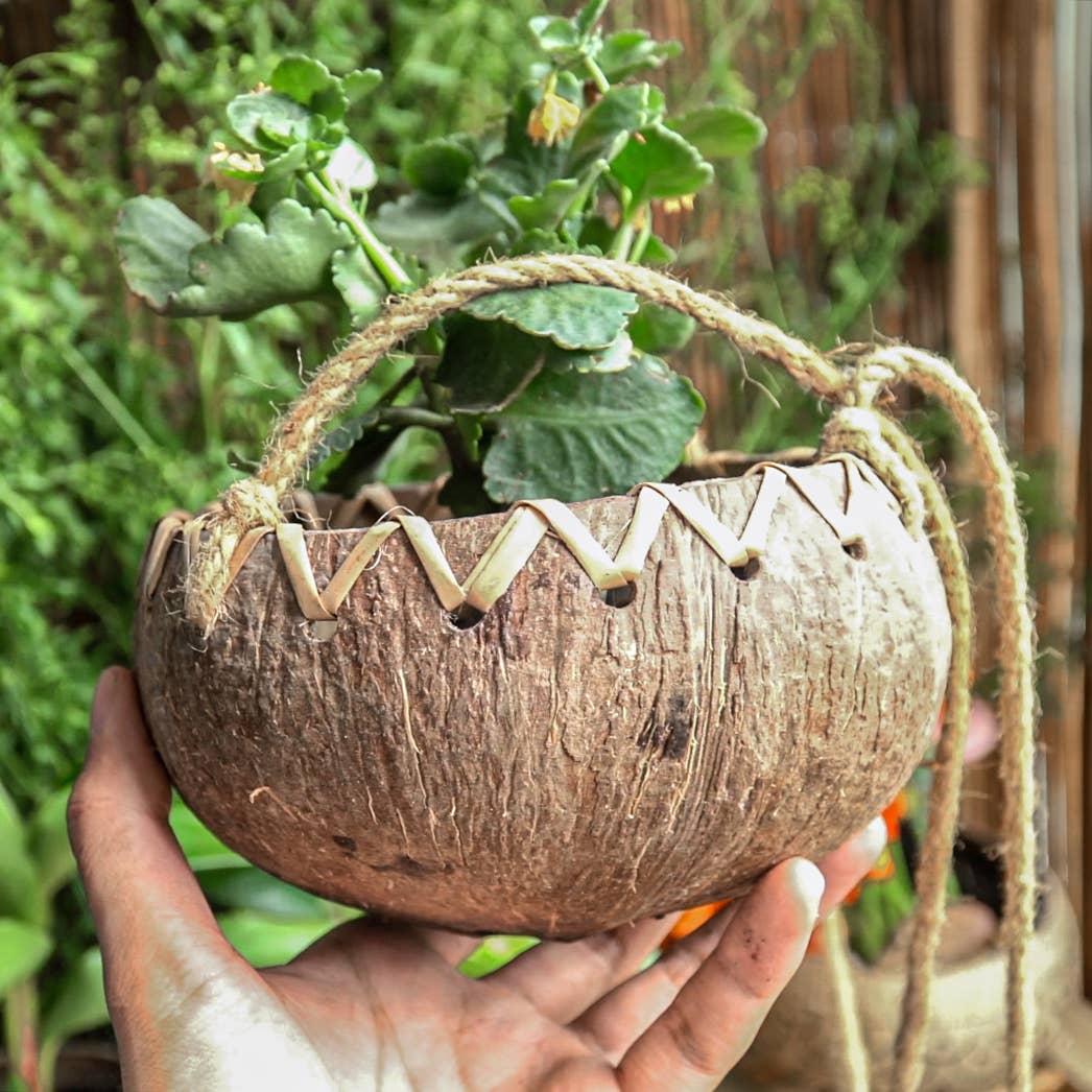 Hanging Coconut Planter