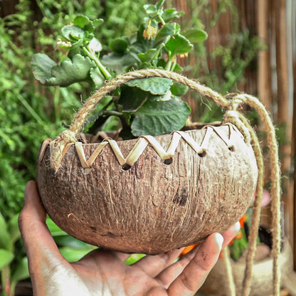Hanging Coconut Planter