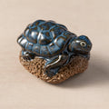 Turtle Pedi Buffer