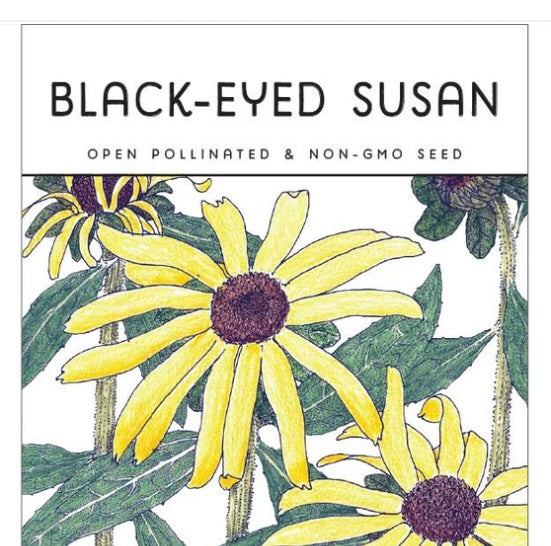 Black-Eyed Susan Seeds | Non-GMO Seeds