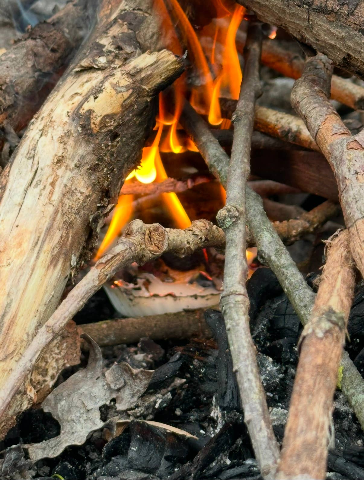 Fire Starters | Set of 4