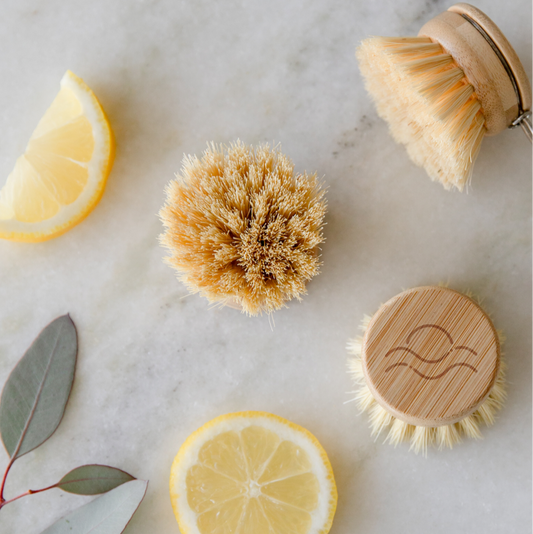 Sisal Dish Brush Replacement Head Only | Eco Friendly