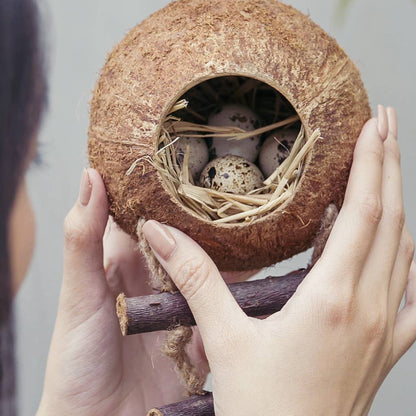 Coconut Birdhouse