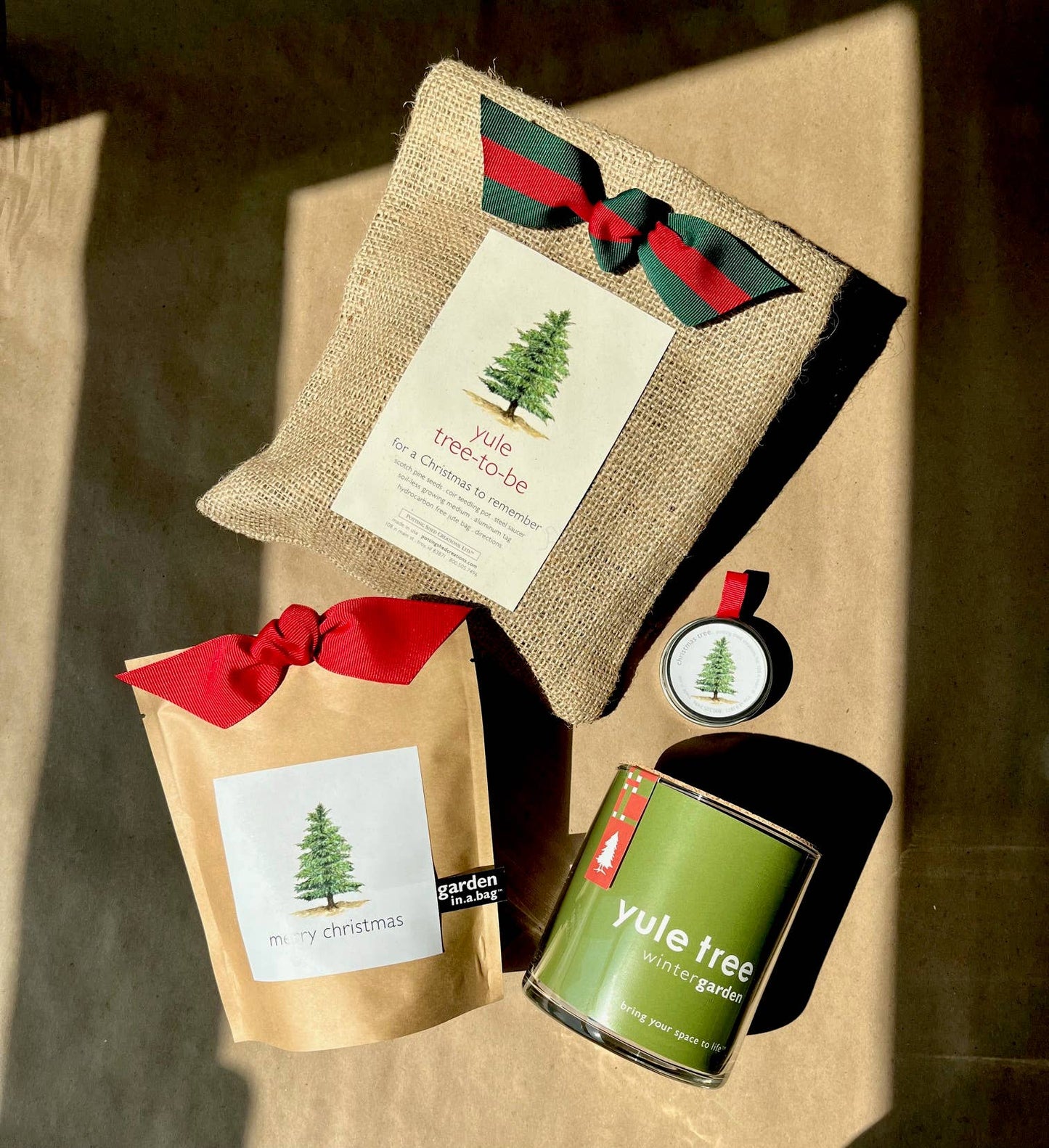 Garden in a Bag | Grow a Christmas Tree