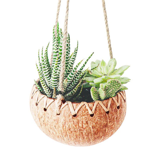 Hanging Coconut Planter