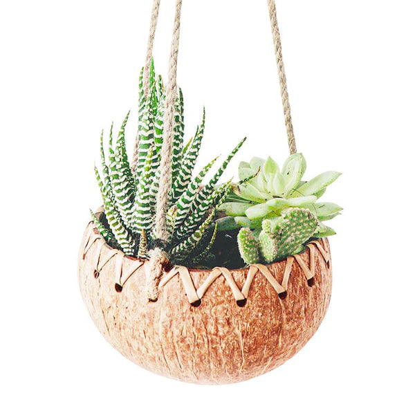 hanging coconut planter Hanging Coconut Planter – Earth Tribe