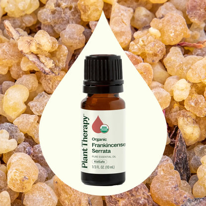 Organic Frankincense Essential Oil 10 mL