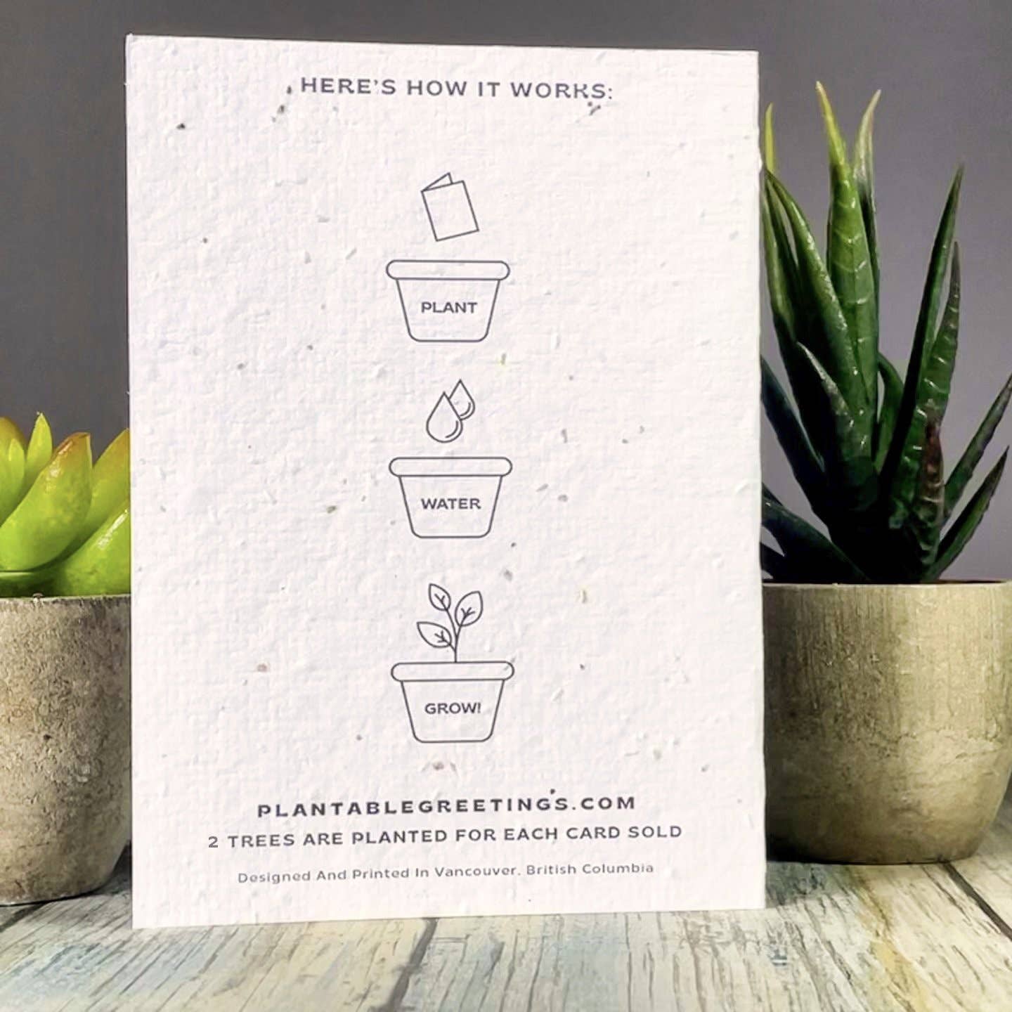 Monkey Birthday Plantable Greeting Card