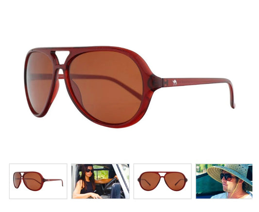 Ace Sunglasses (Retro Brown)
