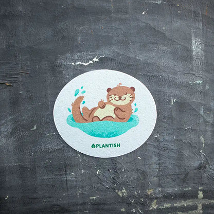 Adorable Compostable Sponges