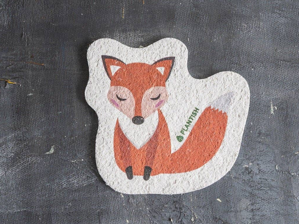 Adorable Compostable Sponges