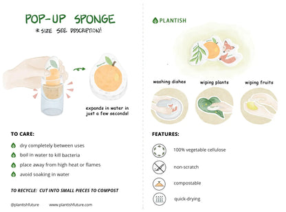 Compostable Sponges