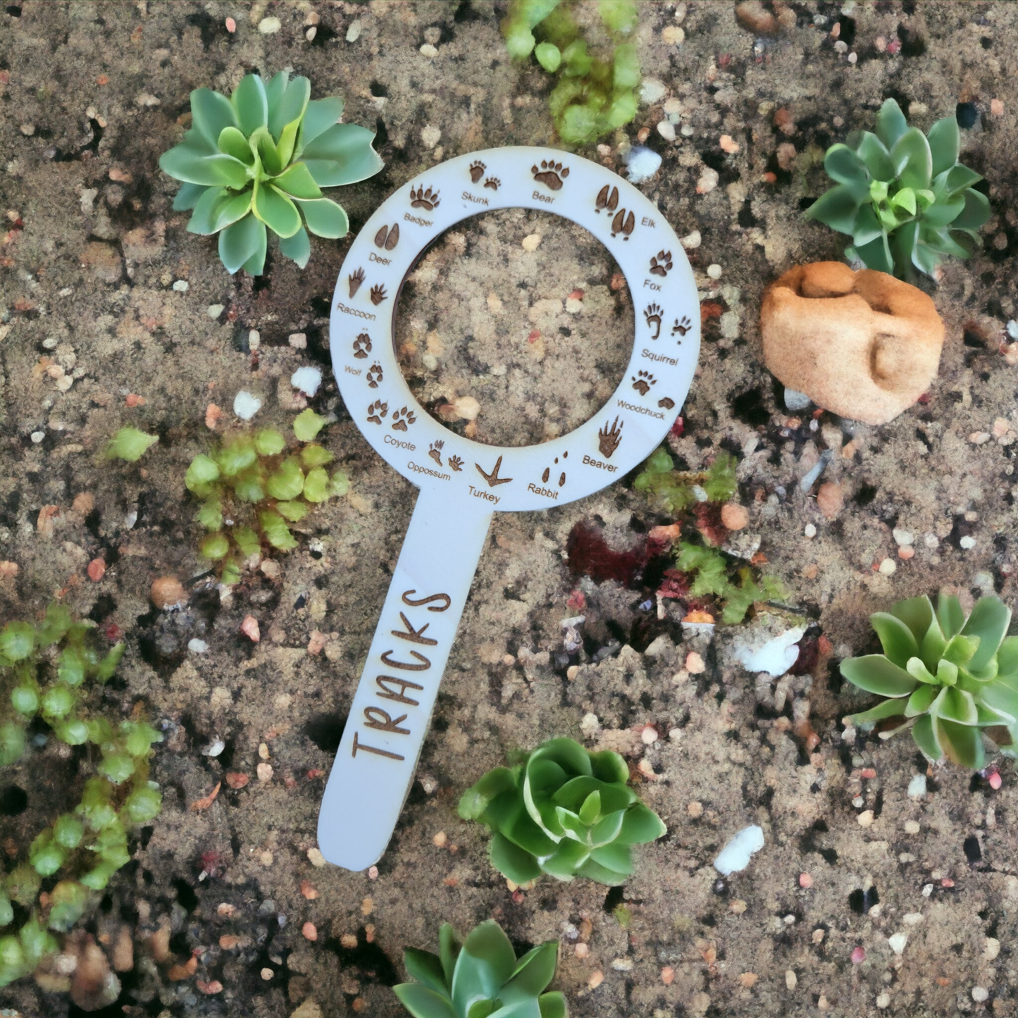 Bug Trackers/ Track Finder