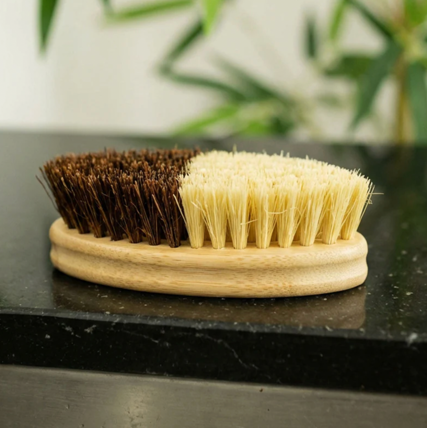 Eco Cleaning Brush