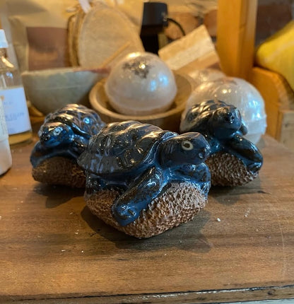 Turtle Pedi Buffer