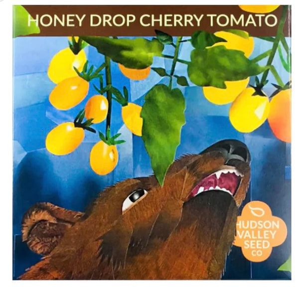 Organic Honey Drop Cherry Tomato Seeds