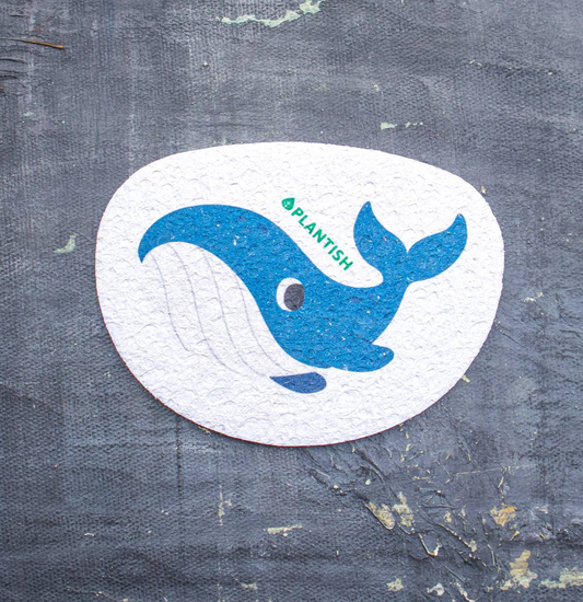 Adorable Compostable Sponges