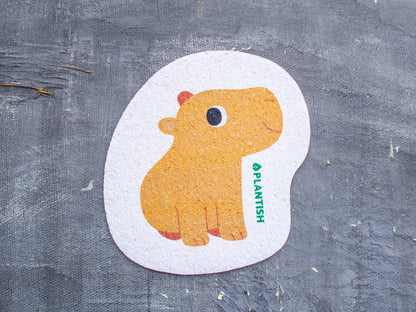 Adorable Compostable Sponges