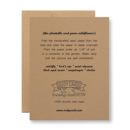 Plantable Seed Paper Greeting Card - Love is LOVE