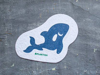 Adorable Compostable Sponges