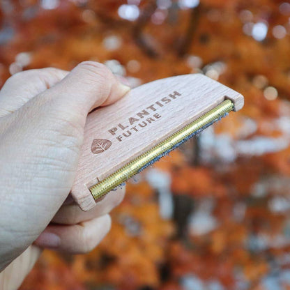 Beachwood Lint Remover