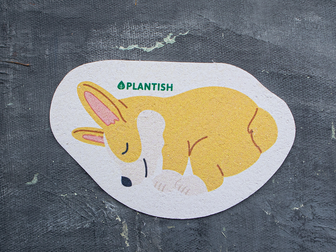 Adorable Compostable Sponges