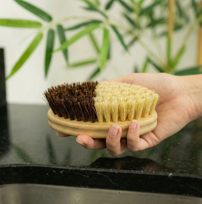 Eco Cleaning Brush