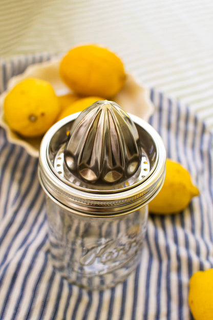 Stainless Steel Juicing Jar