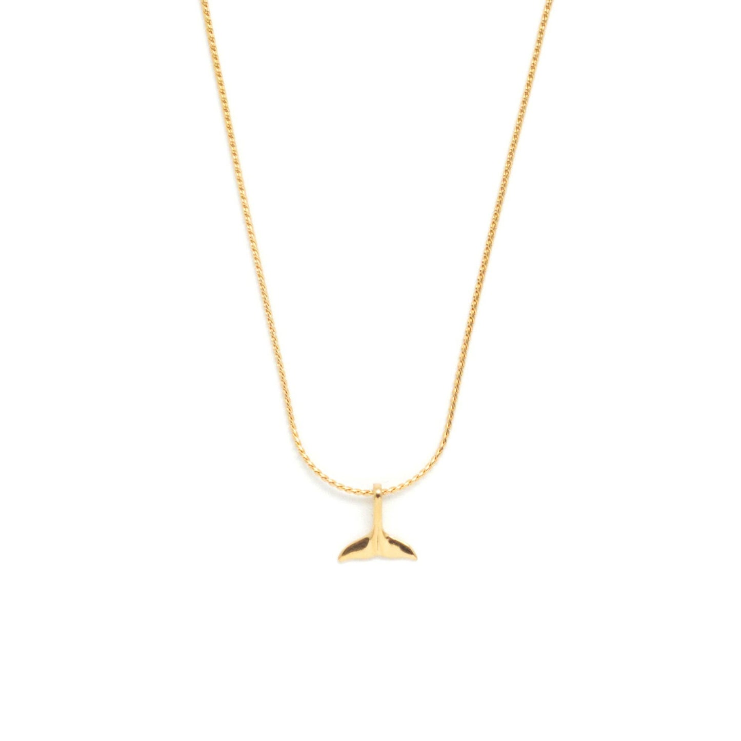 Dolphin Tale Necklace