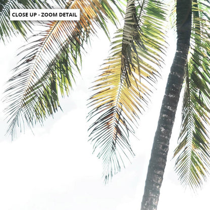 Sunshine Surfboards Print